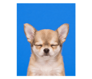 846103583