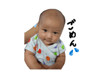 846104241