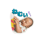 846104245