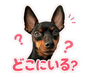 846104492