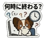 846104813