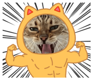 846104855