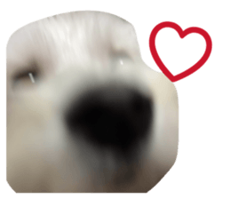 846104944