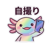 846105896