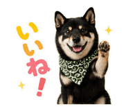 846116265