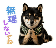 846116271