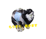 846117108