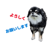 846117115