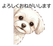 846117339