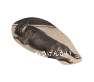 846118147