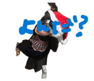 846120167