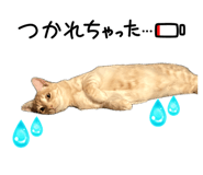 846126826