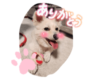 846126878