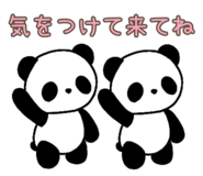 846127013
