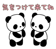 846127023