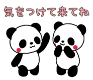 846127091