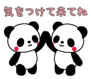846127096