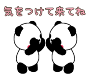 846127097