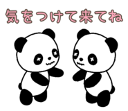 846127117