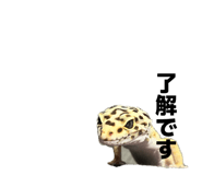 846127146