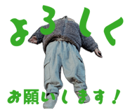 846128176
