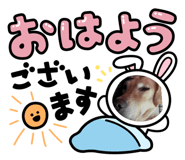 846128296