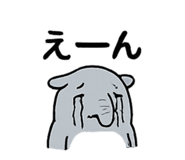 846128445