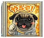 846128555