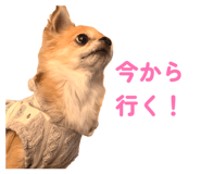 846128756