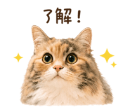 846128938