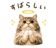 846128957