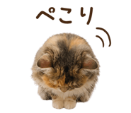 846128960