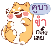 846131673