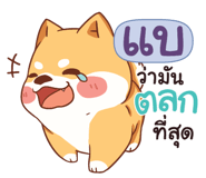 846135994