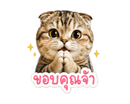 846136604