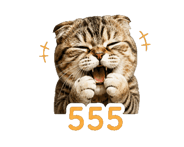846136605