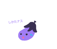846145553