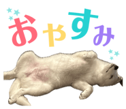846146083