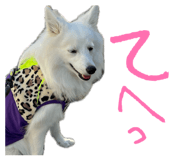 846146087