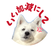 846146093