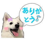 846146094
