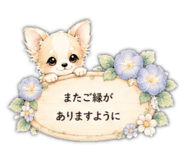 846146424