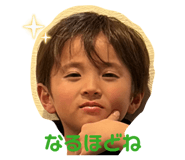 846147241