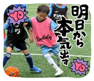 846147246