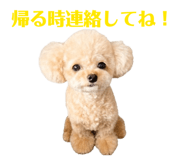846155484