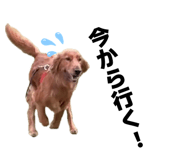 846156132