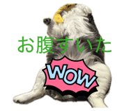 846156461