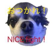 846156462