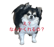 846156463