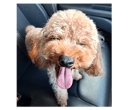 846156595